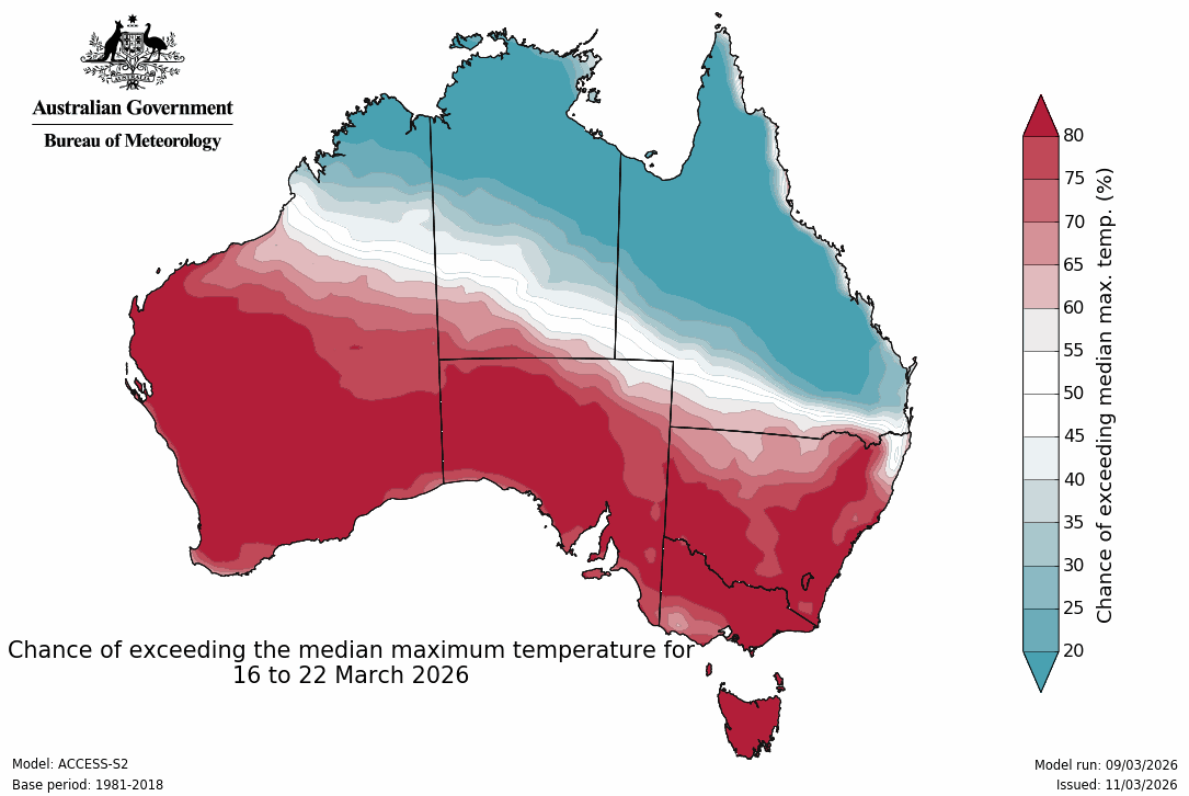 Maximum temperature – chance of above median - Second week