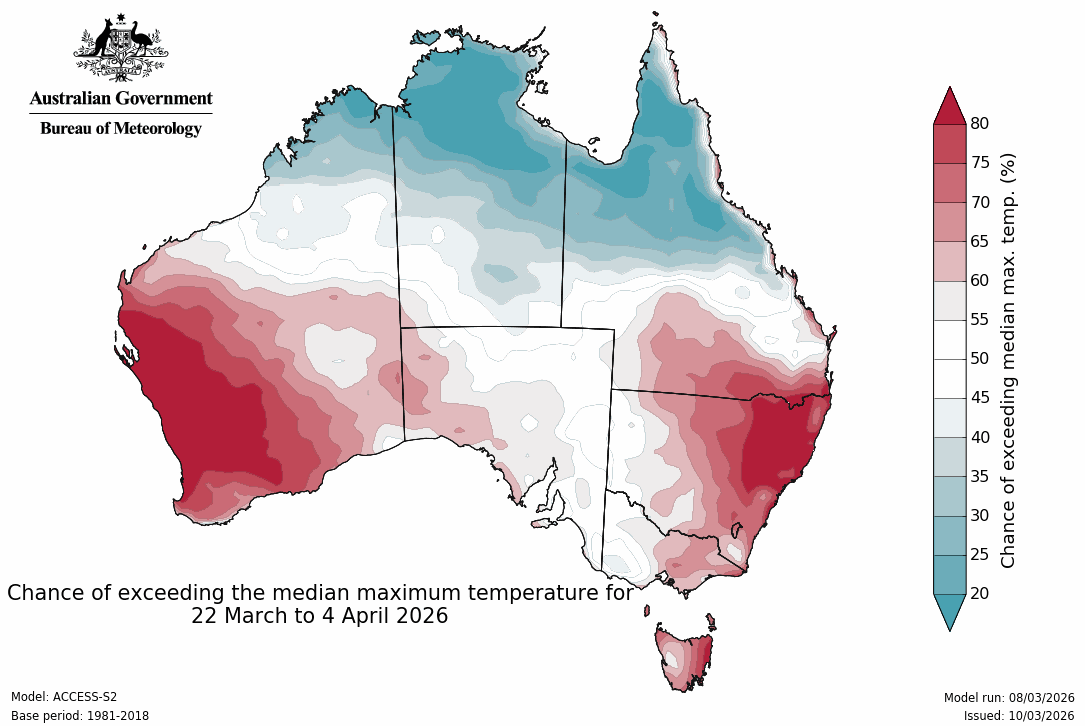 Maximum temperature – chance of above median - Third fortnight